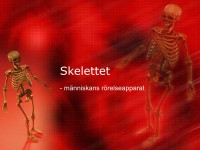 /album/skelettet/a6-skelettet-001-jpeg/
